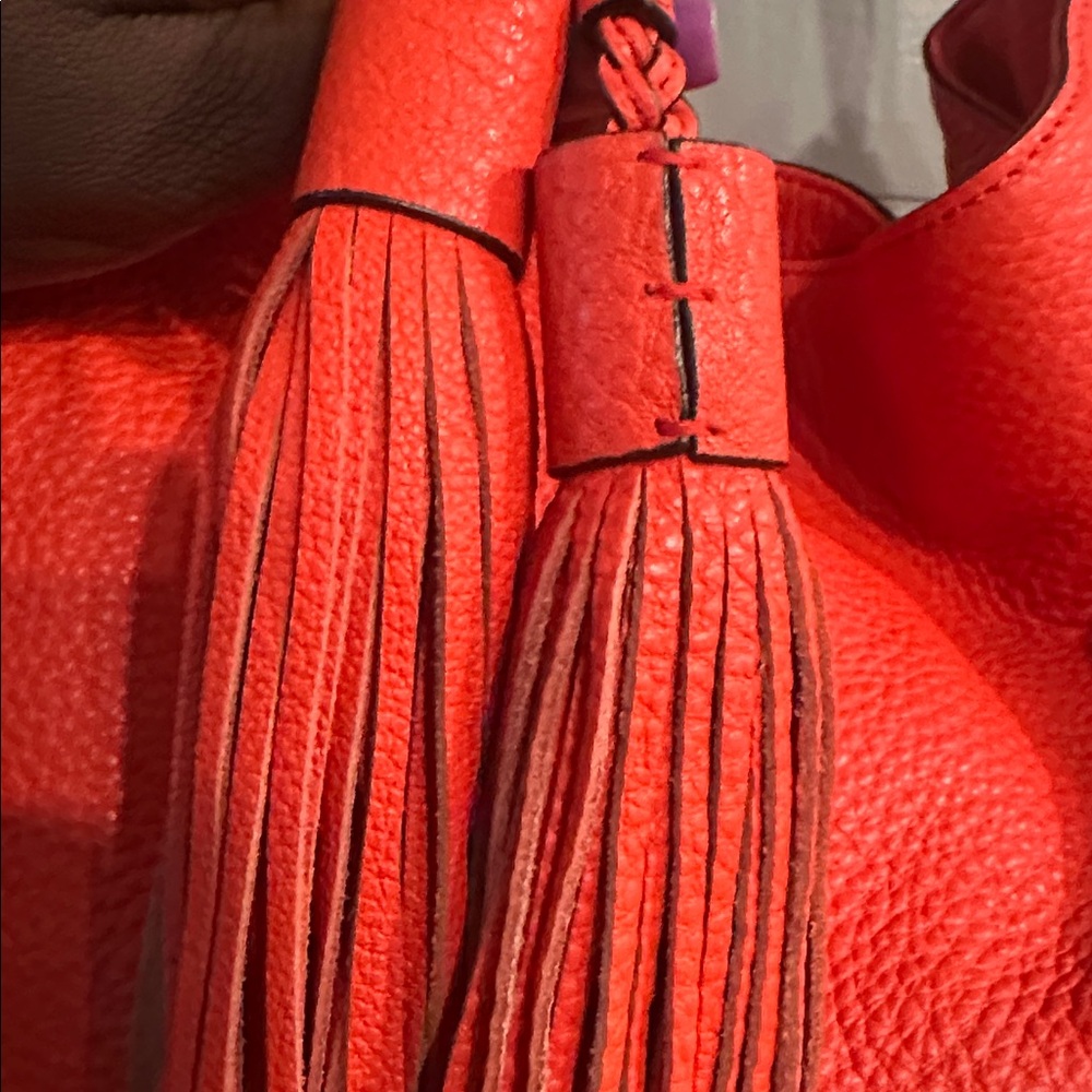 Rebecca Minkoff Leather Tassel Hobo Bag - Picture 7 of 8